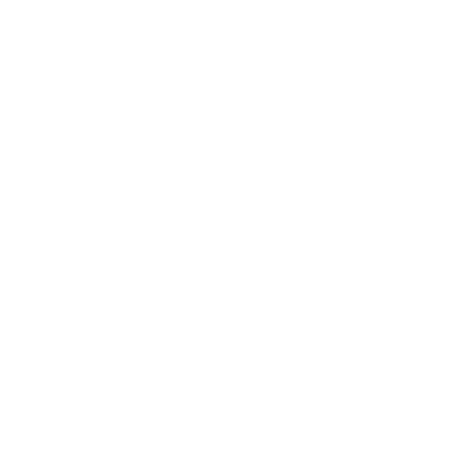 Sanchar Lens