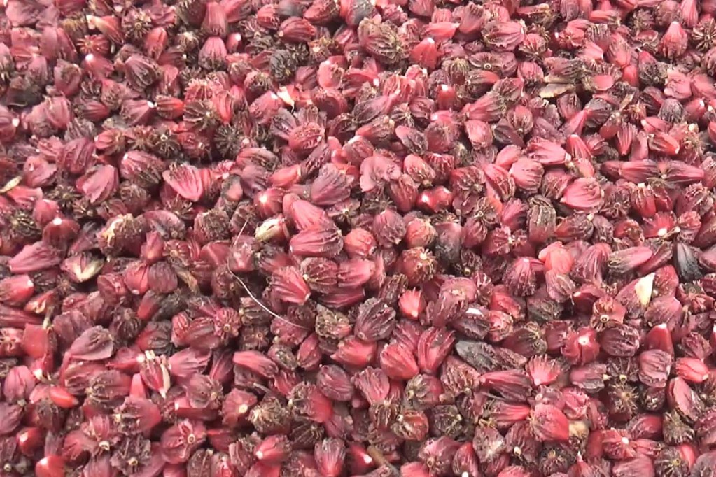 अलैँचीको मूल्य लगभग लाख पुग्यो