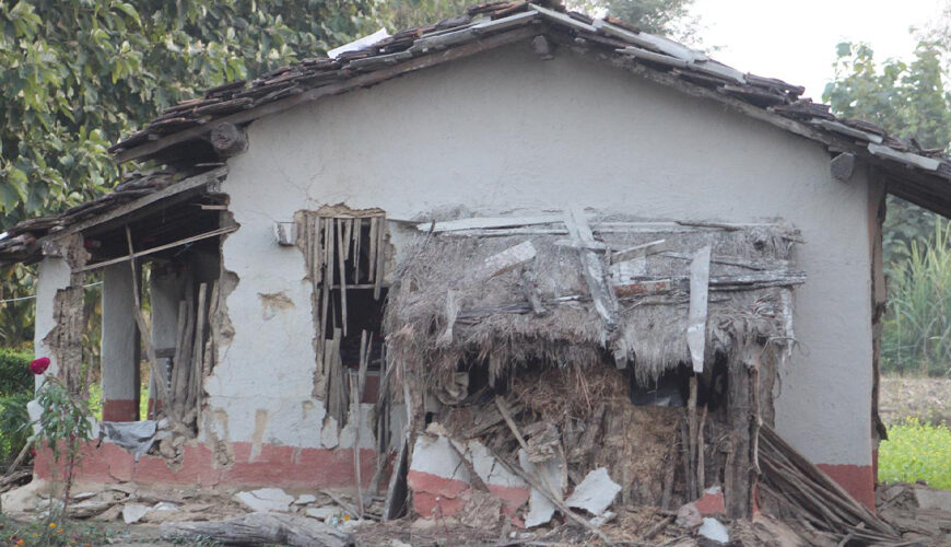 लालझाडीमा जङ्गली हात्तीको आतंक