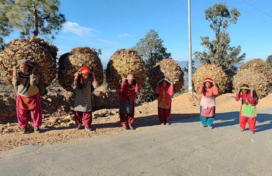 ग्रामिण क्षेत्रमा सिमित रहह्यो जैविक मलको प्रयोग