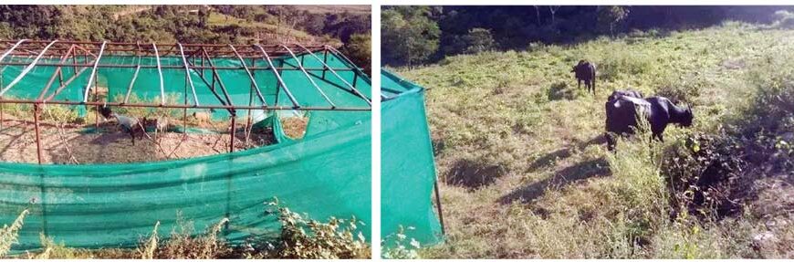 कृषि उत्पादन बढाउन करोडौँ लगानी, खाद्य सङ्कट उस्तै