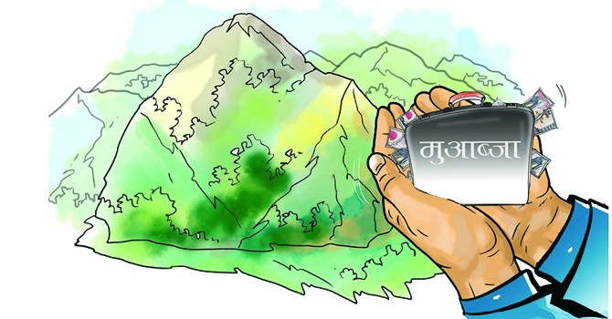 छैन मुआब्जा नीति, राज्यलाई अकल्पनीय भार
