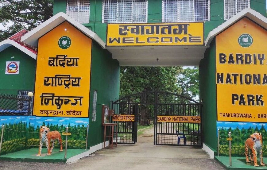 चितुवाले आक्रमण गर्दा ६ जना घाइते