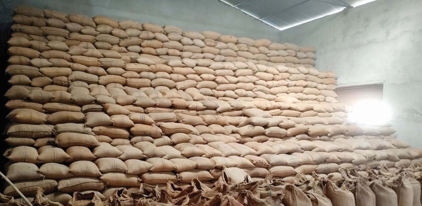 बढी मूल्य दिदा पनि लक्ष्य अनुसार खरिद भएन धान