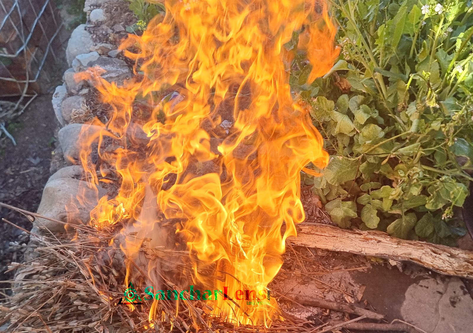 आज माघ सङ्क्रान्ति पर्व, सुदूरपश्चिममा नरहरी पनि