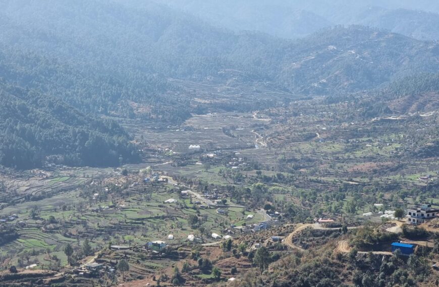 धान उत्पादनमा कमी, डडेल्धुरामा वर्षेनी २८१ मेट्रिकटन खाद्यान्न अपुग