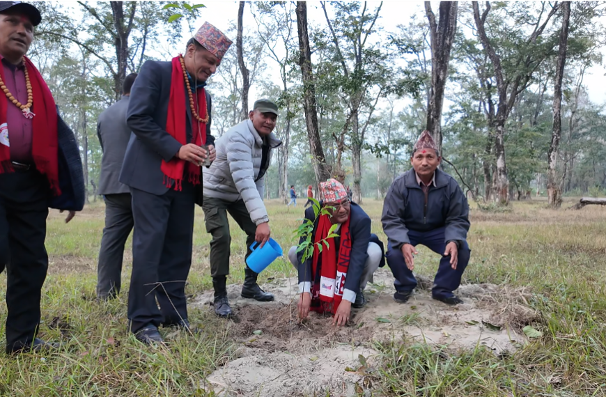 परशुराम धाममा रोपिए रुद्राक्षका विरुवा, सुदूरपश्चिमको धार्मिक बगैँचा बनाईने