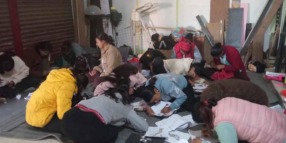 आत्मनिर्भर बनाउन महिलालाई सीप सिकाउँदै स्थानीय तह