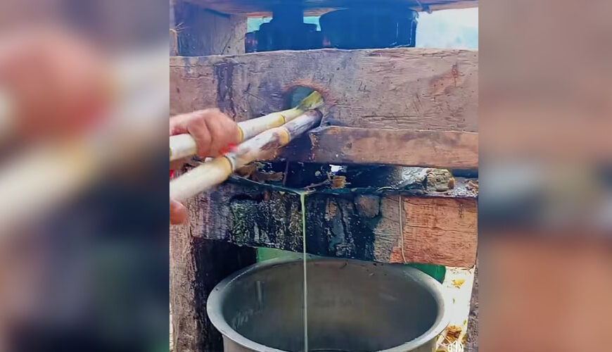 घट्दै उखु खेती, हराउदै परम्परगत गुड उत्पादन