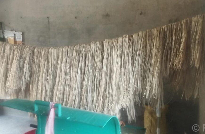 केराको रेशाबाट बनेका सामग्रीको माग बढ्यो