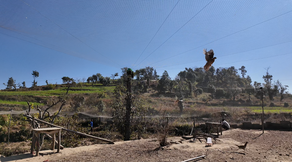 चुरेको बडीमलासमा व्यावसायीक कालिज पालन