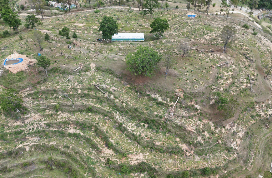 डडेल्धुरामा खाद्यान्न बृहतदेखि फलफूल बगैँचा निर्माण