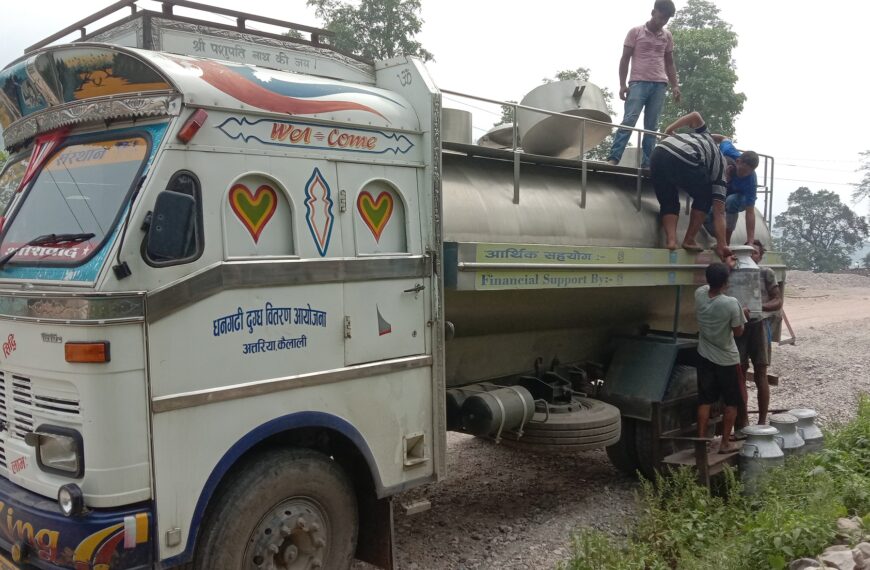 डडेल्धुराबाट निर्यात हुदै दुध र मासु