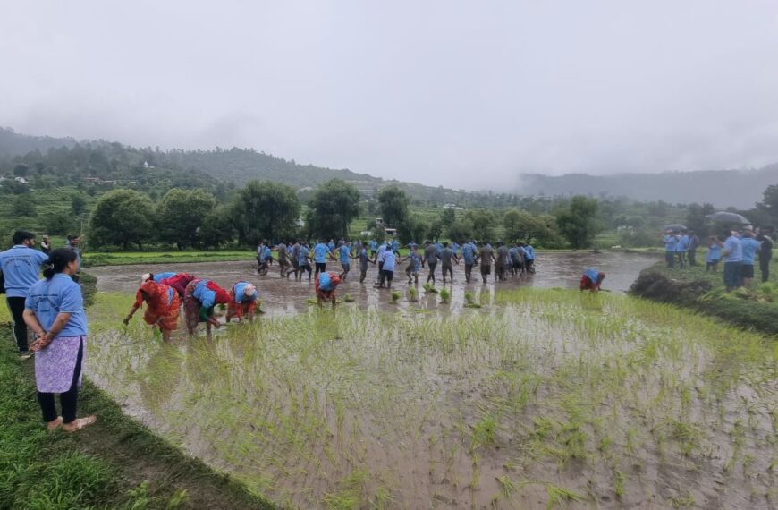 धान दिवसमा रोपाईसंगै किसानलाई सम्मान