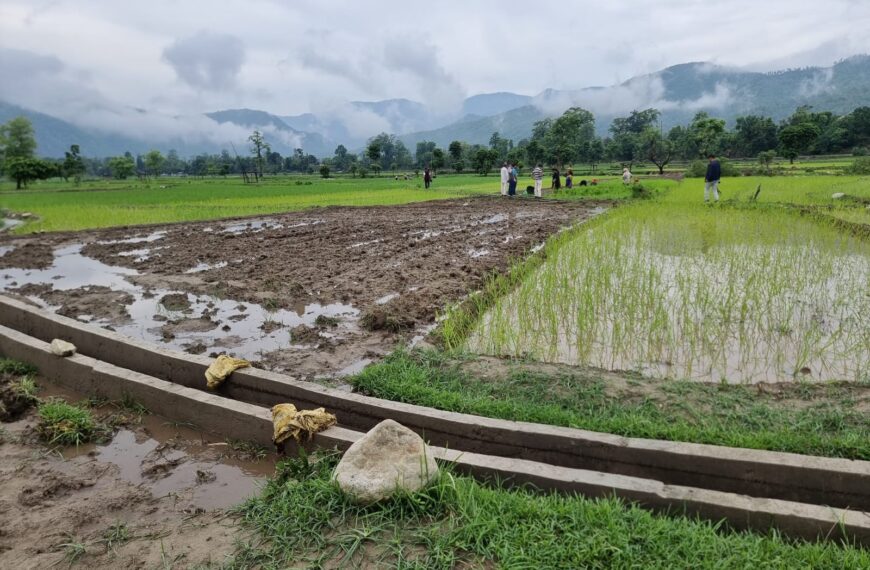 डडेल्धुरामा यो वर्ष मात्रै एक हजारबढी हेक्टरमा सिंचाई सुबिधा