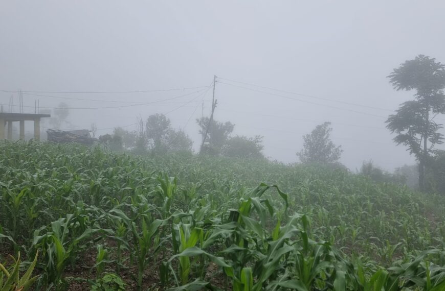 देशका अधिकांश भागमा वर्षा हुने