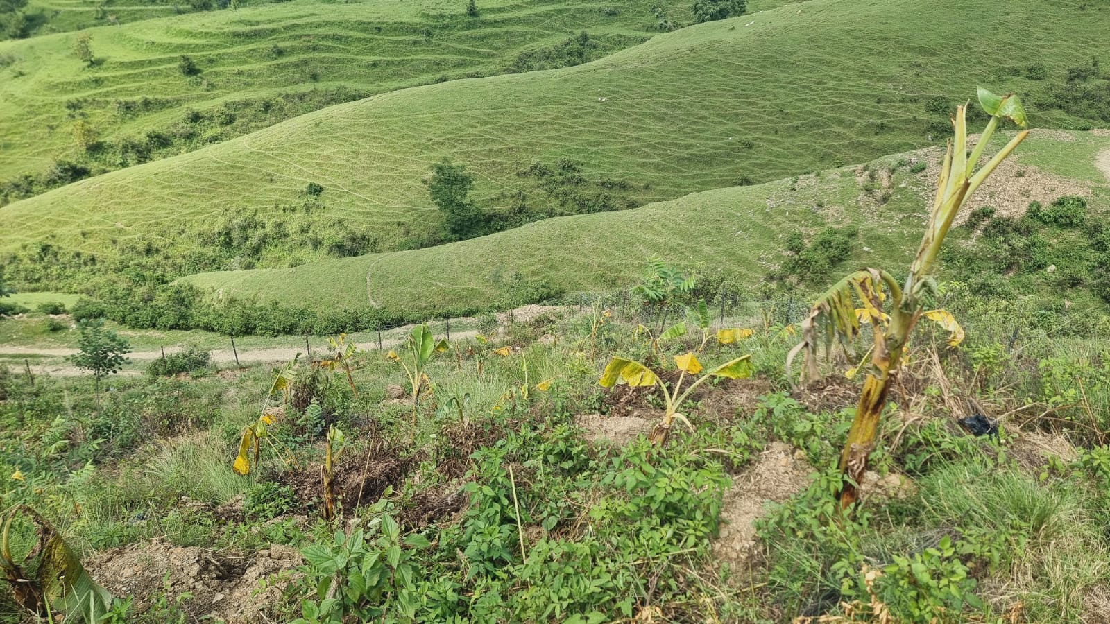 Vue d'un paysage verdoyant représentant les environs d'une boutique locale de technologie