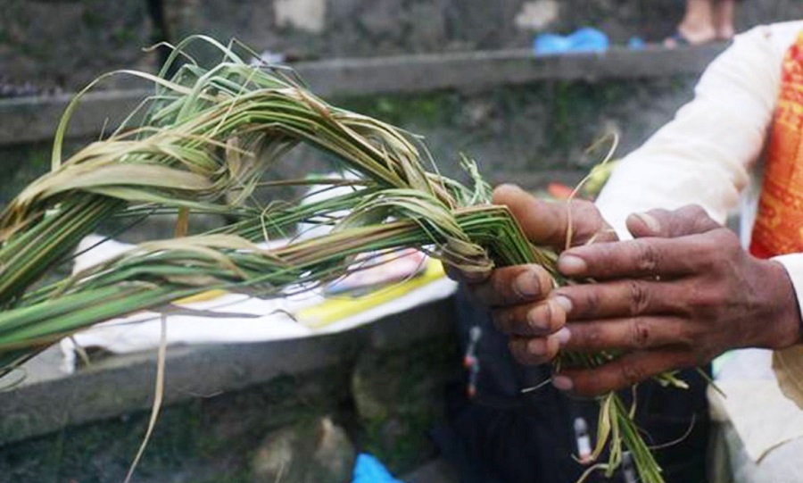आज कुशे औँसी, भित्र्याइँदै घर–घरमा कुश