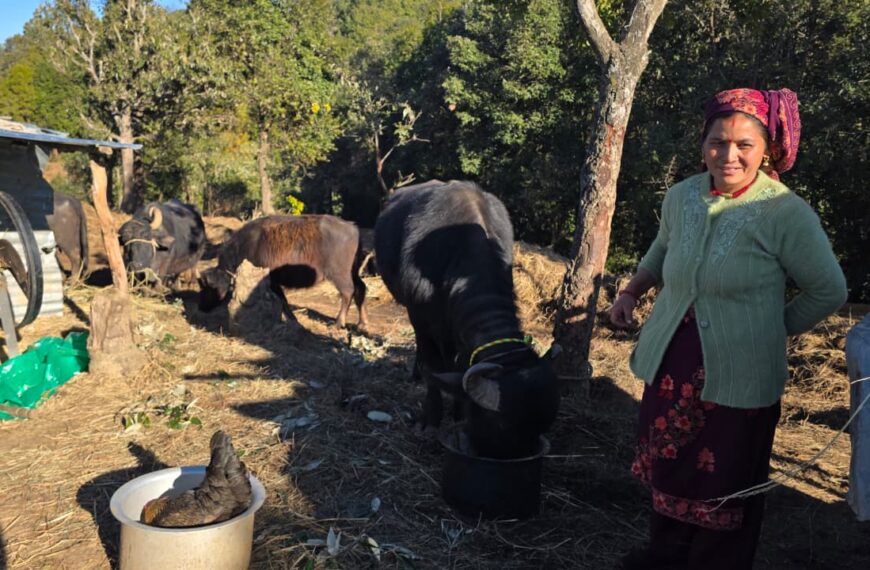 भैंसी पालेर दुधबाट मनग्य आम्दानी गरिरहेकी भुमिका बिष्ट