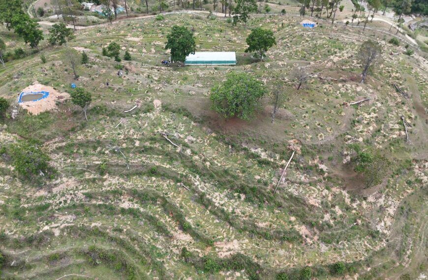 बाझो जमिन भाडामा लिई सामुहिक अनार खेती