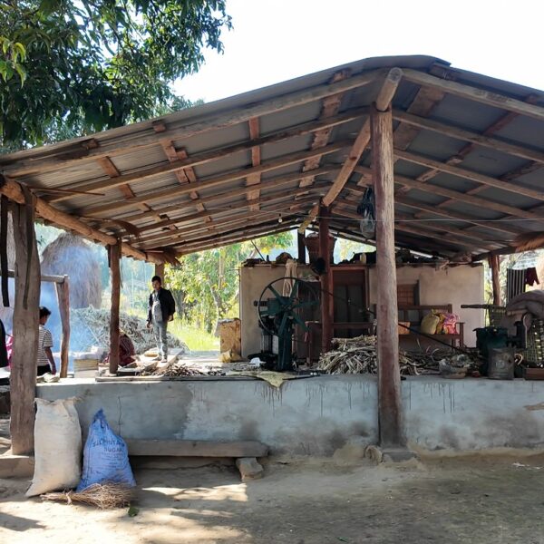 उखु खेती गरि गुड उत्पादन तर्फ आकर्षित ग्रामिण भेगका किसान