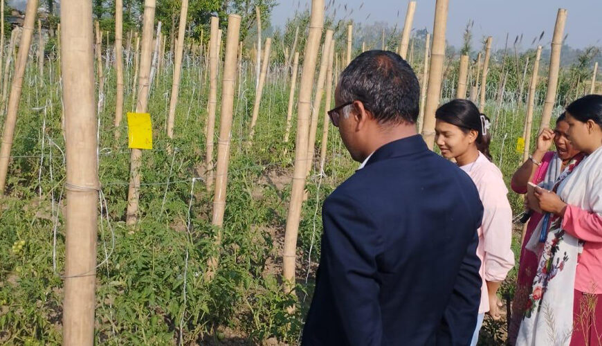 विषादीरहित तरकारी उत्पादन गर्दै किसान