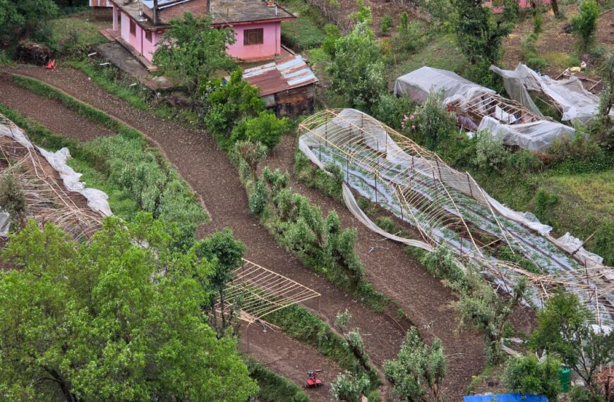 असिनापानी र हावाहुरीले तरकारी बालीमा ५० लाख बढीको क्षती