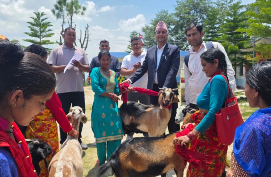 बालबालिका विद्यालयमै टिकाउन नवदुर्गाले दियो अभिभावकलाई बाख्रा