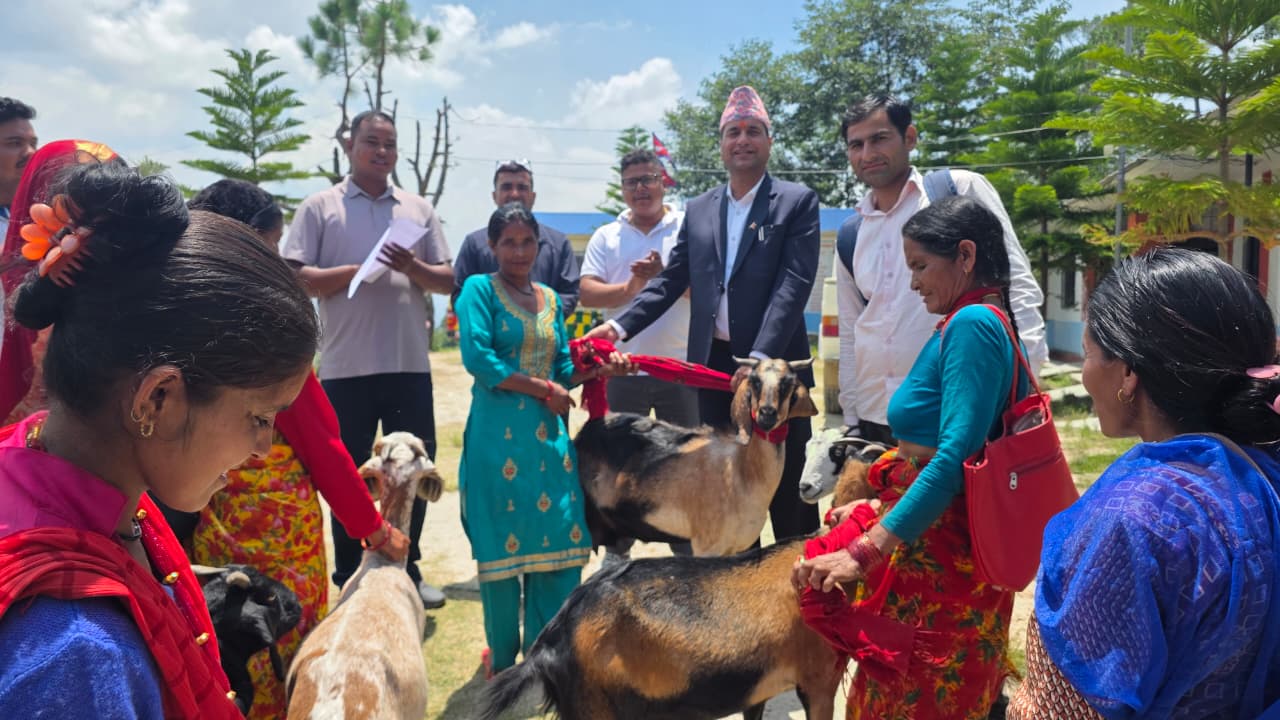 बालबालिका विद्यालयमै टिकाउन नवदुर्गाले दियो अभिभावकलाई बाख्रा