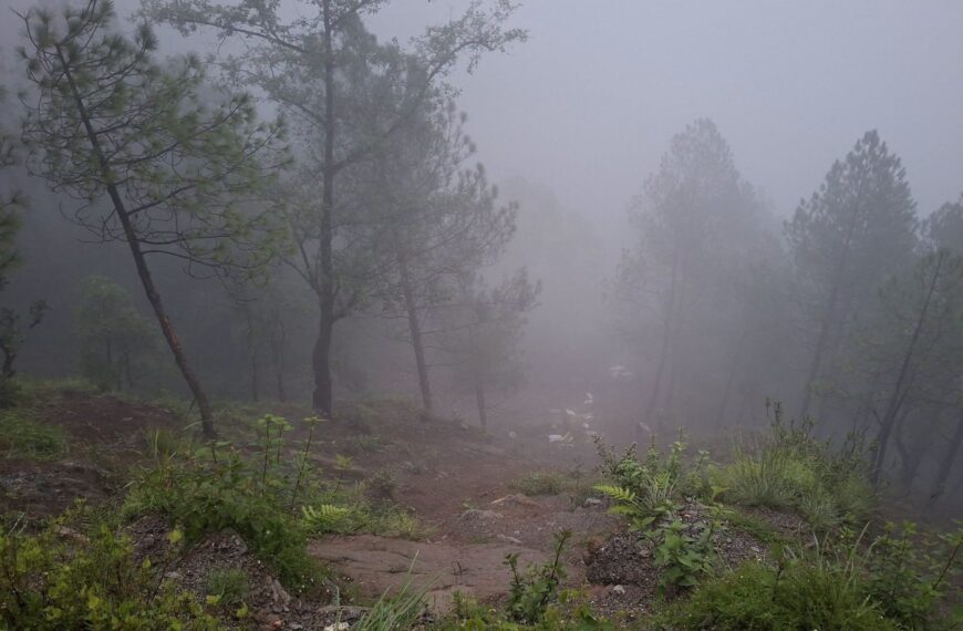 डडेल्धुराको खसरेमा जीप दुर्घटनाहुदा दुई जनाको मृत्यु, तीन जना घाईते