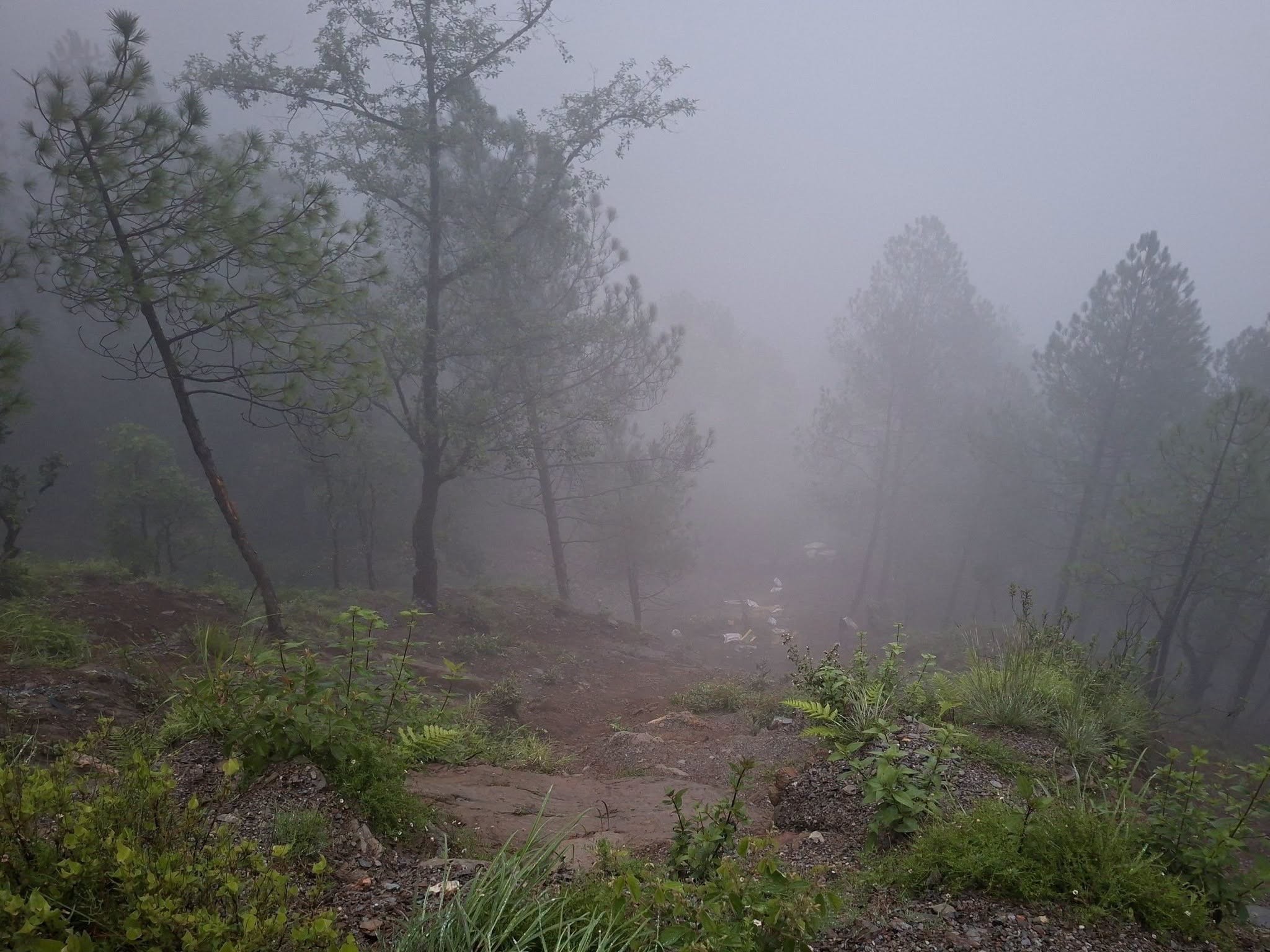 डडेल्धुराको खसरेमा जीप दुर्घटनाहुदा दुई जनाको मृत्यु, तीन जना घाईते