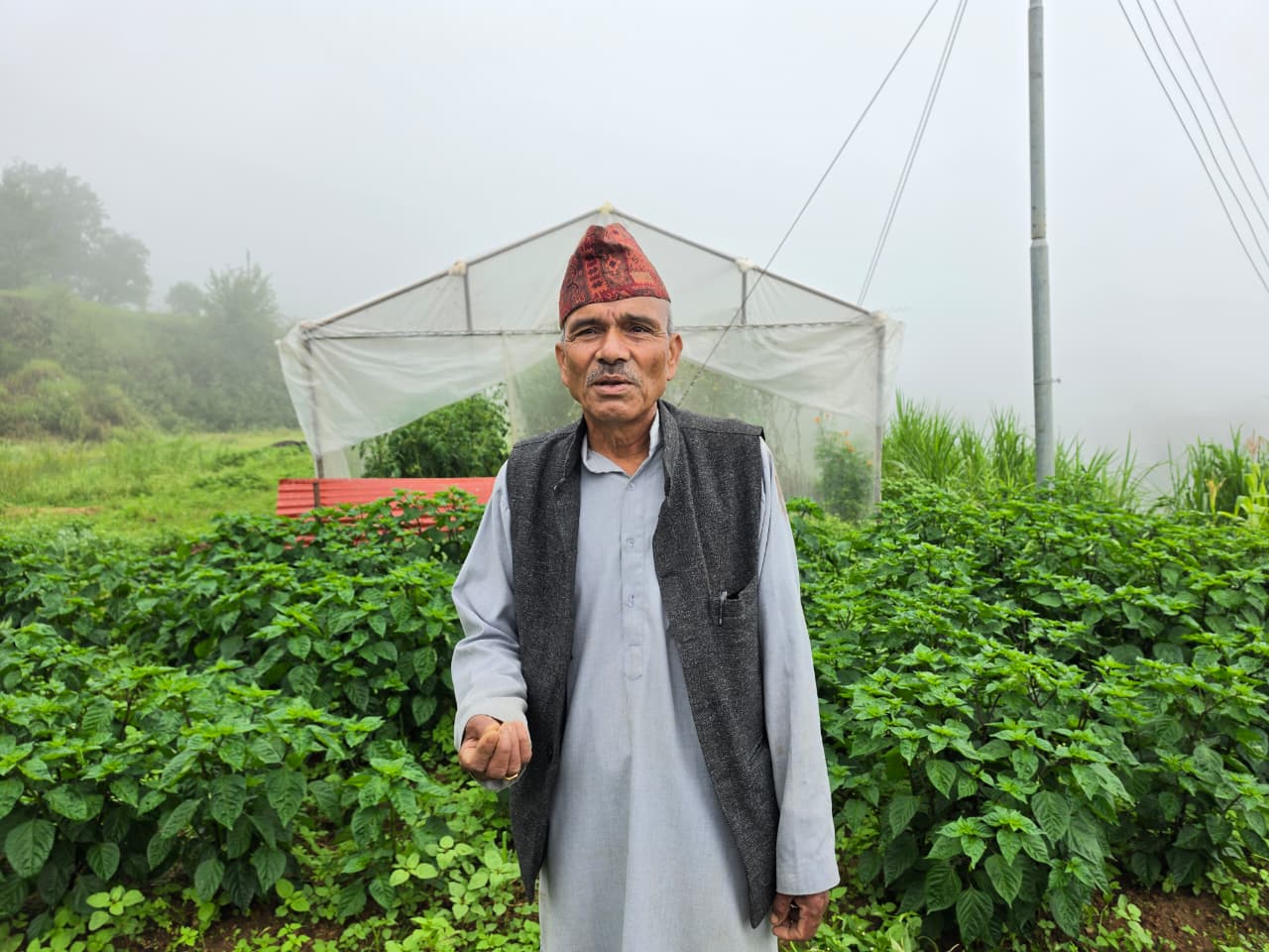 आराम होइन, माटोसँग नयाँ जीवनः अवकाशपछि ७० रोपनीमा कृषि साम्राज्य बनाएका कमलसिंह&hellip;