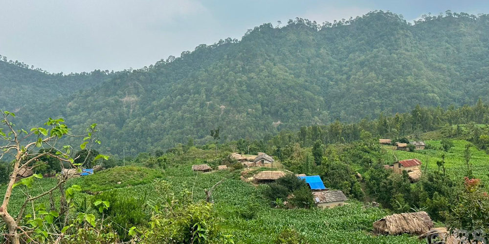 भौतिक विकासको पर्खाइमा परशुरामको पलगडी गाउँ