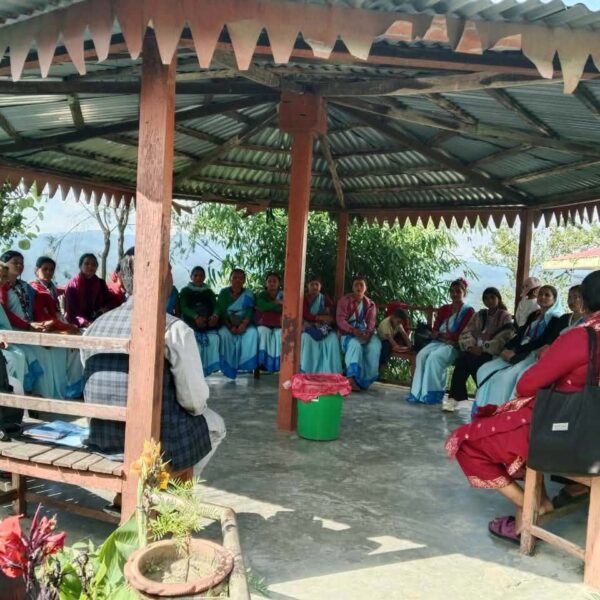 अस्पतालका सेवा गाउँगाउँ पुर्‍याउँदै आलितालका महिला स्वास्थ्य स्वयंसेविका