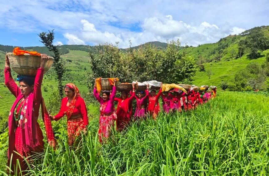 सुदूरपश्चिममा गौरा पर्वको रौनक, घरघरमा बिरुडा भिजाएर गरियो शुभारम्भ
